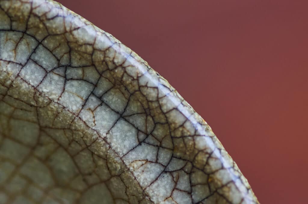 criteres-poterie-raku